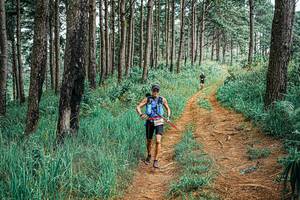 BIB: 
                            <button type="button" onclick="openModal(25698917)" class="btn btn-primary btn-sm float-right btn-popup" data-toggle="modal" data-target=".modal-high-quality">
                        <i class="fas fa-shopping-cart"></i> Add to Cart
                    </button>
                                            <button type="button" onclick="isThisMe(25698917, true)" class="btn btn-success btn-sm float-right btn-popup btn-isme hidden" data-toggle="tooltip" data-placement="bottom" title="นี่คือรูปของคุณใช่ไหม คลิกที่นี่เพื่อเอาเข้าอัลบั้ม">
                        <i class="fas fa-plus"></i> Add to album
                    </button>
                    <button type="button" onclick="isThisMe(25698917, false)" class="btn btn-warning btn-sm float-right btn-popup btn-isnotme hidden">
                        <i class="fas fa-ban"></i> Remove from album
                    </button>